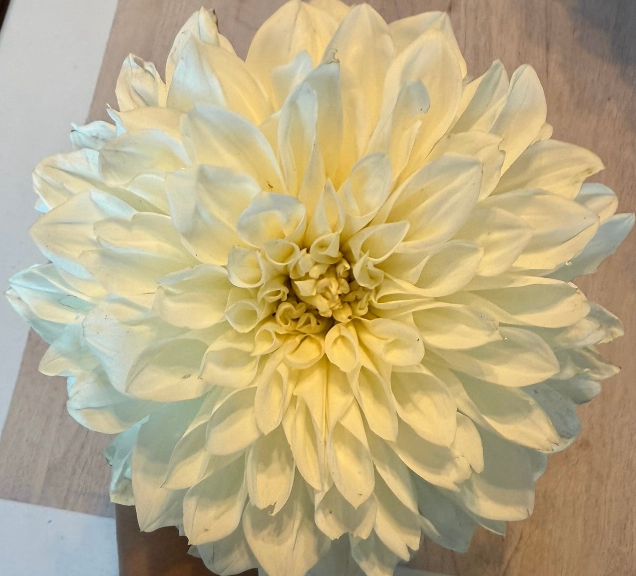 Fleurel